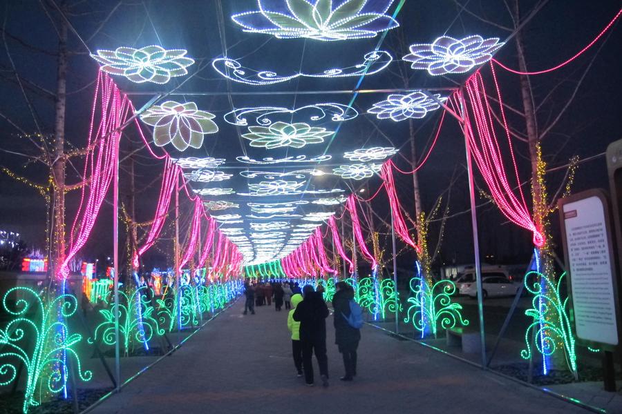 北京迎春迎冬奥（园博园）新年灯会