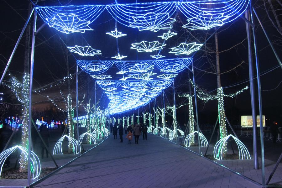 北京迎春迎冬奥（园博园）新年灯会