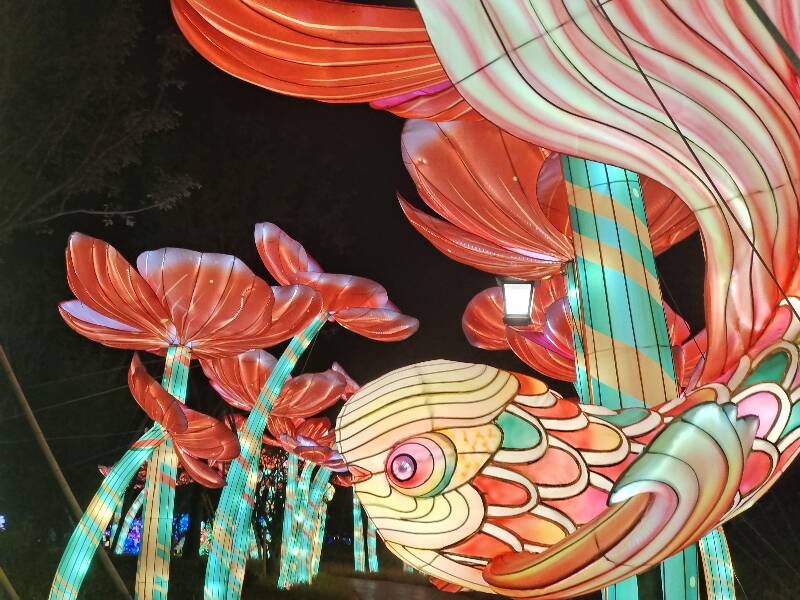 2024年浙江光影艺术节