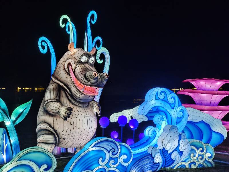 2024年浙江光影艺术节