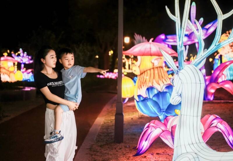 2024年浙江光影艺术节